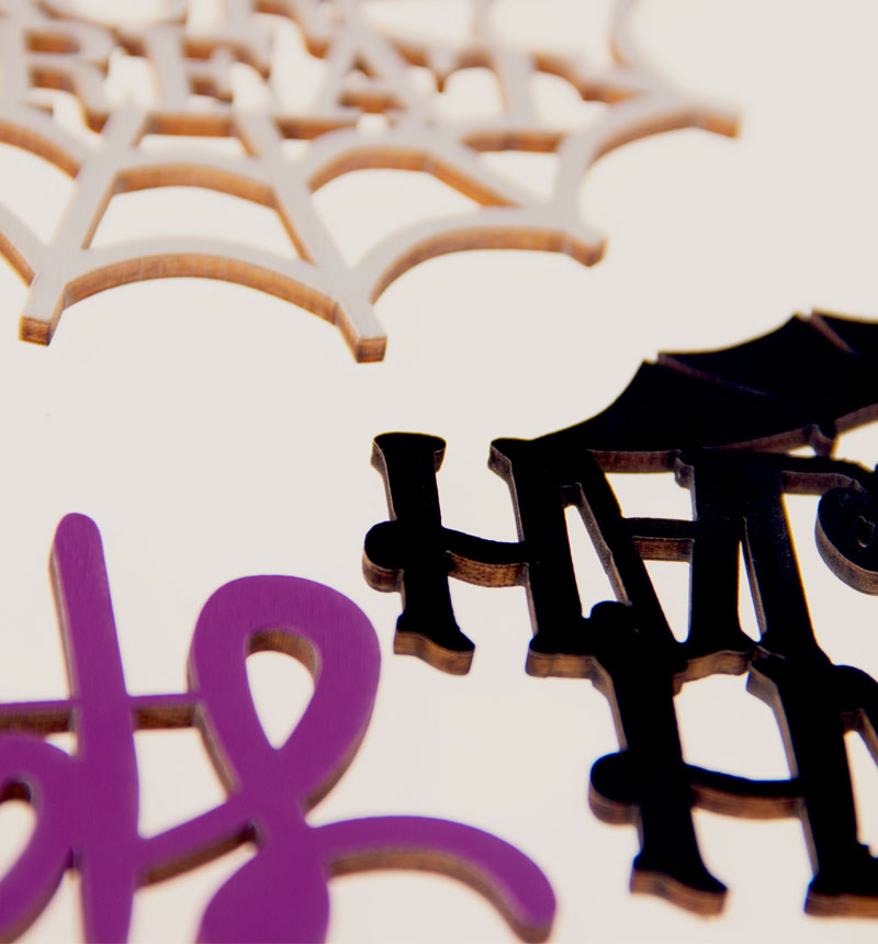 HY-E46641 Halloween small wood chips spider web