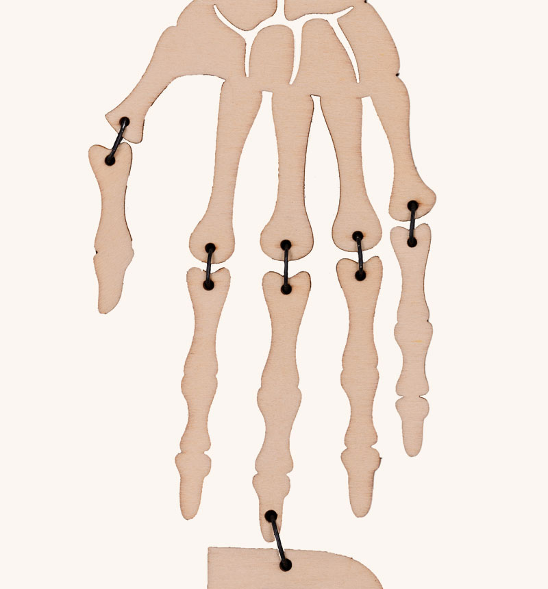 HY-E69503 Halloween skeleton hand
