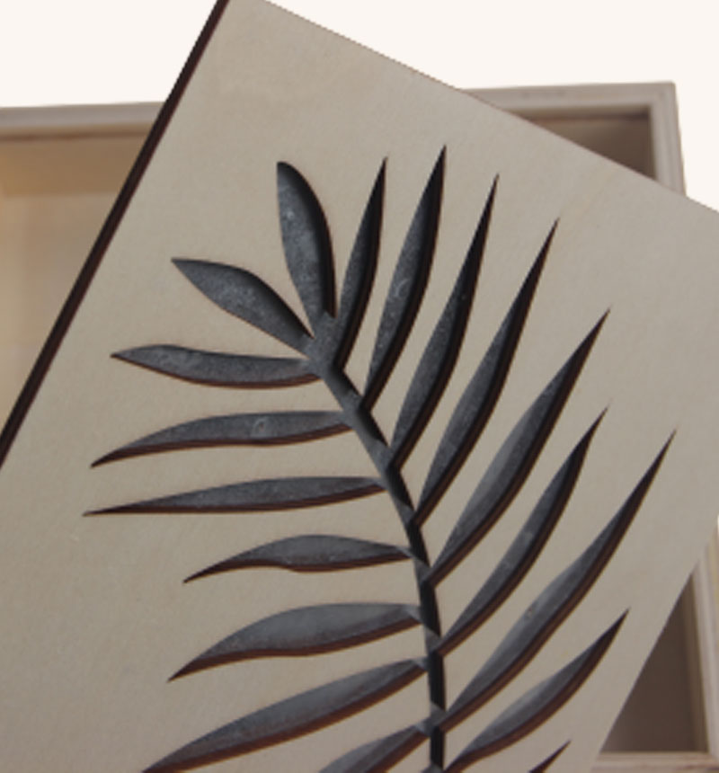 HY-E69284-2 Leaf storage box