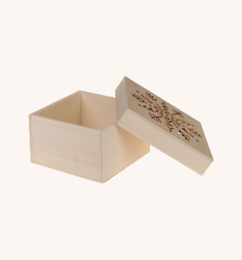 HY-E69794 Square box snowflake