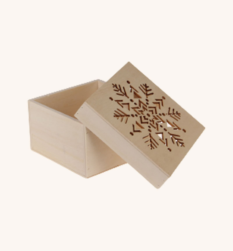 HY-E69794 Square box snowflake