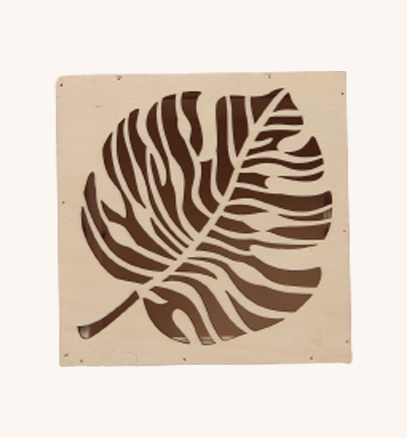 HY-E69794 Square box monstera