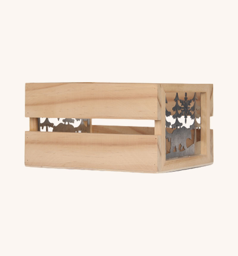 HY-E70291-4 Bear storage box