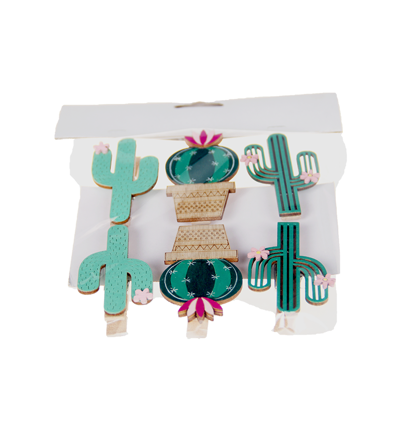 HY-E48484 Bagged cactus