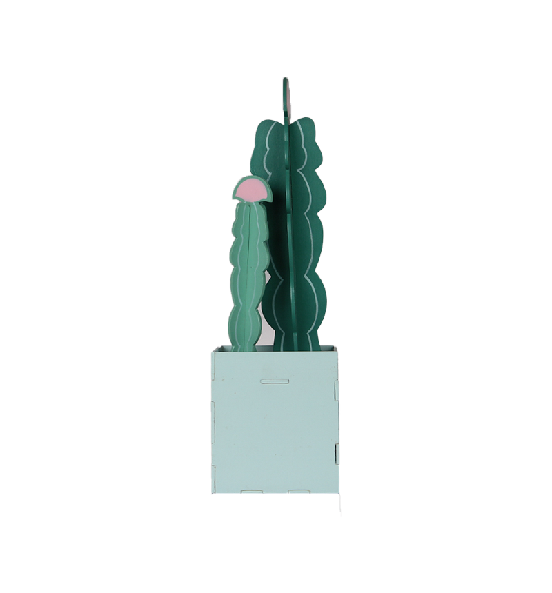 HY-E46014 Cactus Desktop