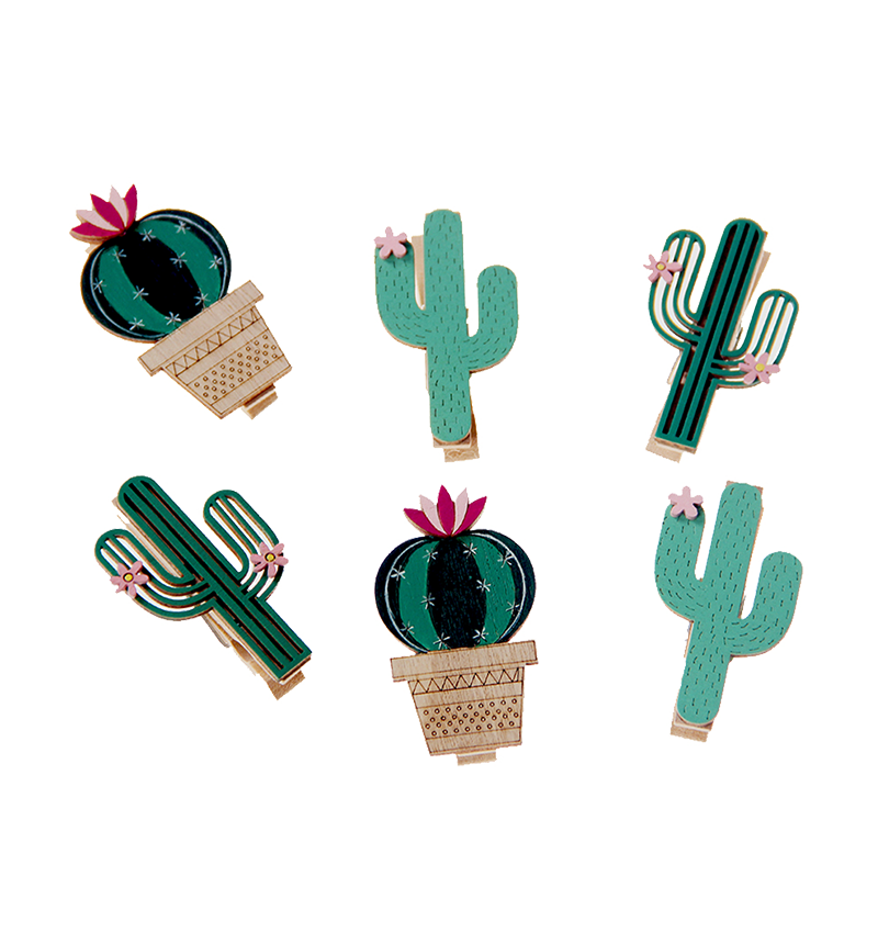 HY-E48484 Bagged cactus