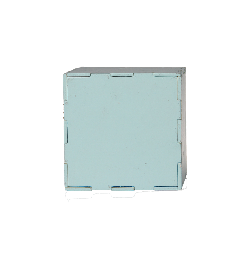 HY-E46014 Cactus Desktop