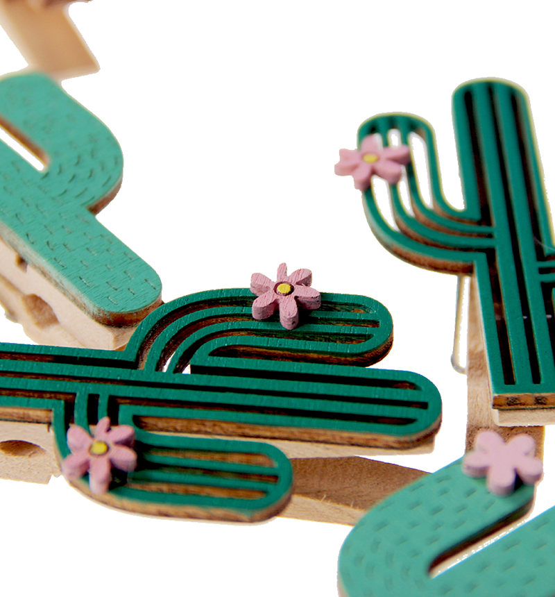 HY-E48484 Bagged cactus