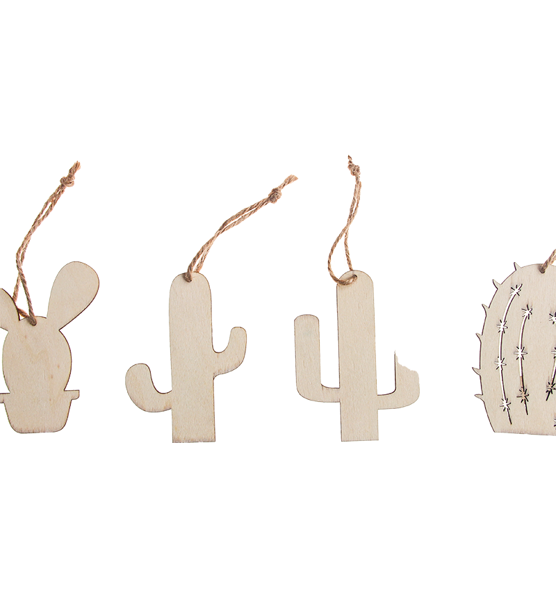 HY-E68588 Cactus small pieces2