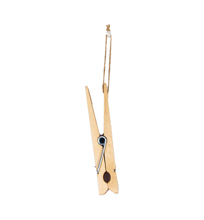 HY-E47434 Big wooden clip