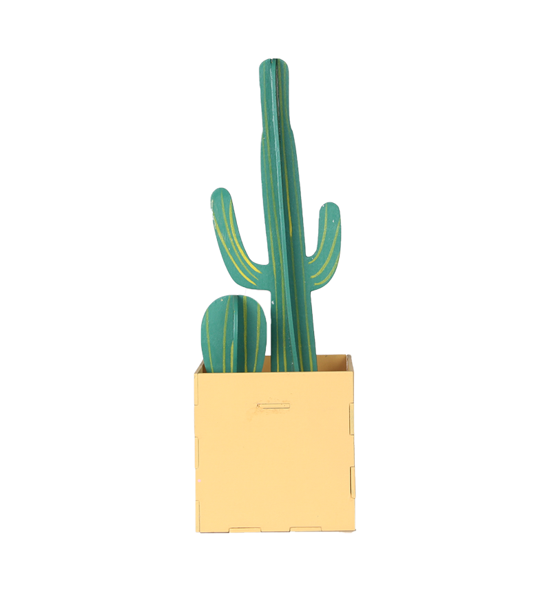 HY-E46014 Cactus Desktop