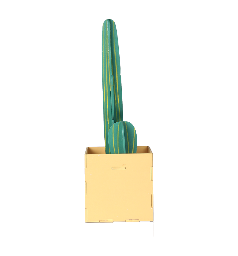 HY-E46014 Cactus Desktop