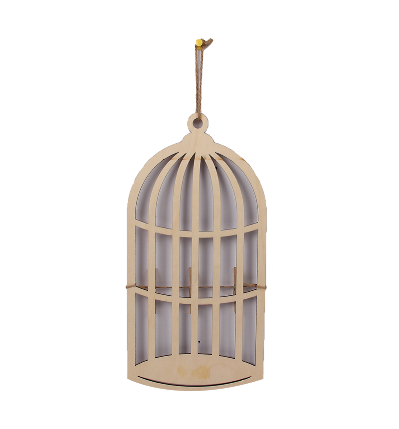 HY-E65855 Laser bird cage