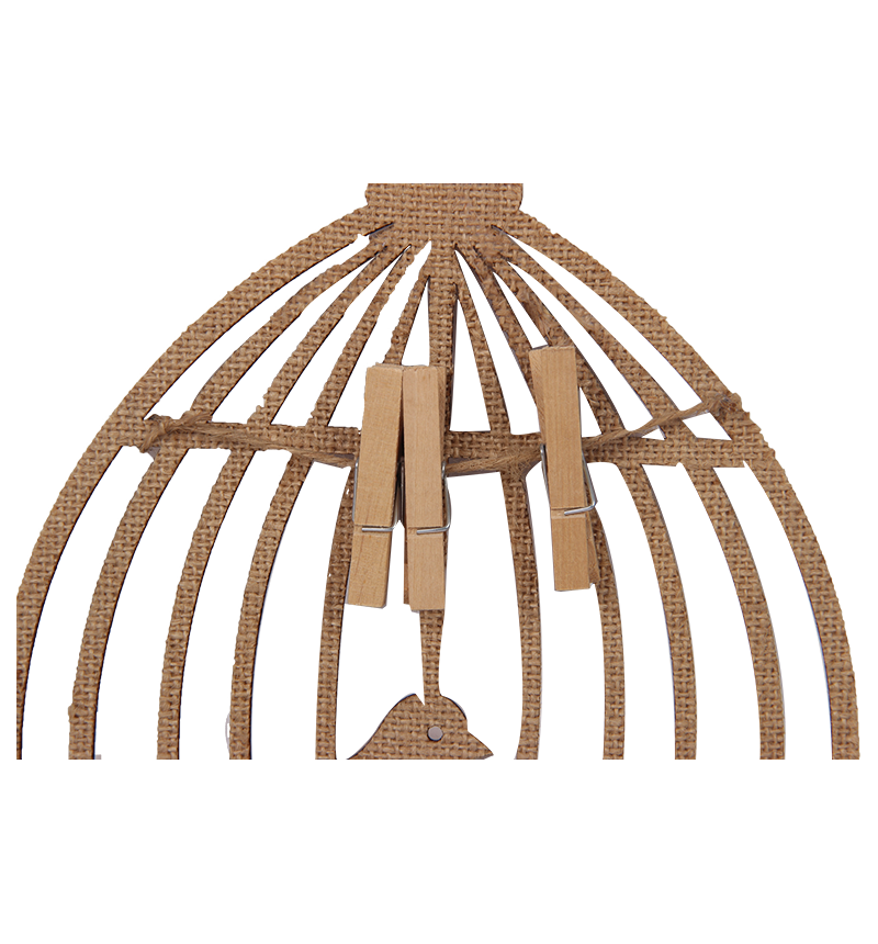 HY-E65855 Laser bird cage