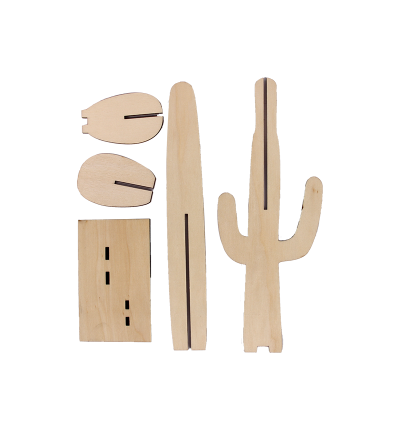 HY-E67389-2 Cactus