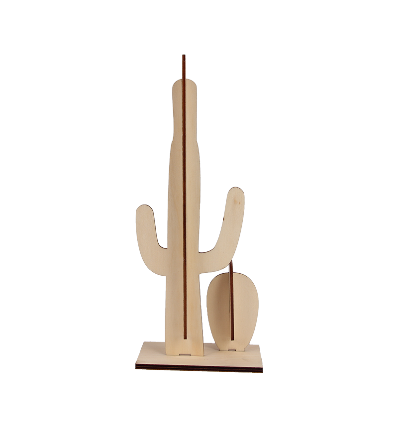 HY-E67389-2 Cactus