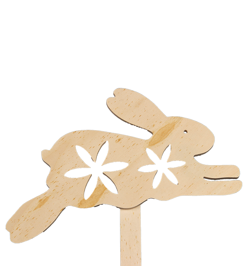 HY-E8437-1 Rabbit Insert