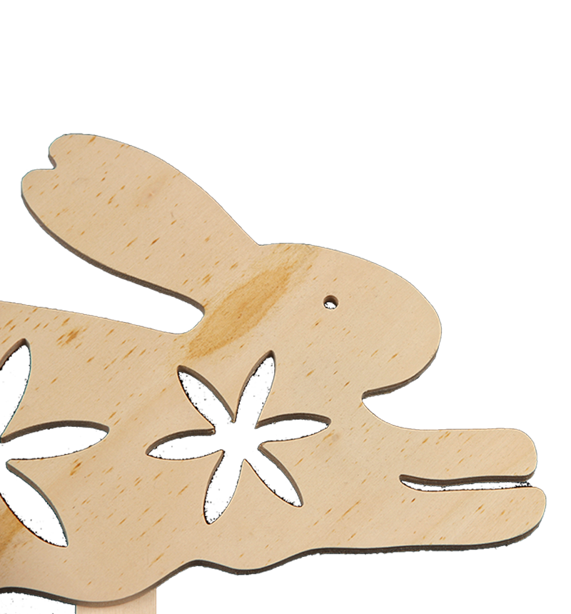 HY-E8437-1 Rabbit Insert
