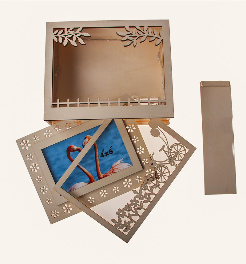 HY-E600249 Photo decoration