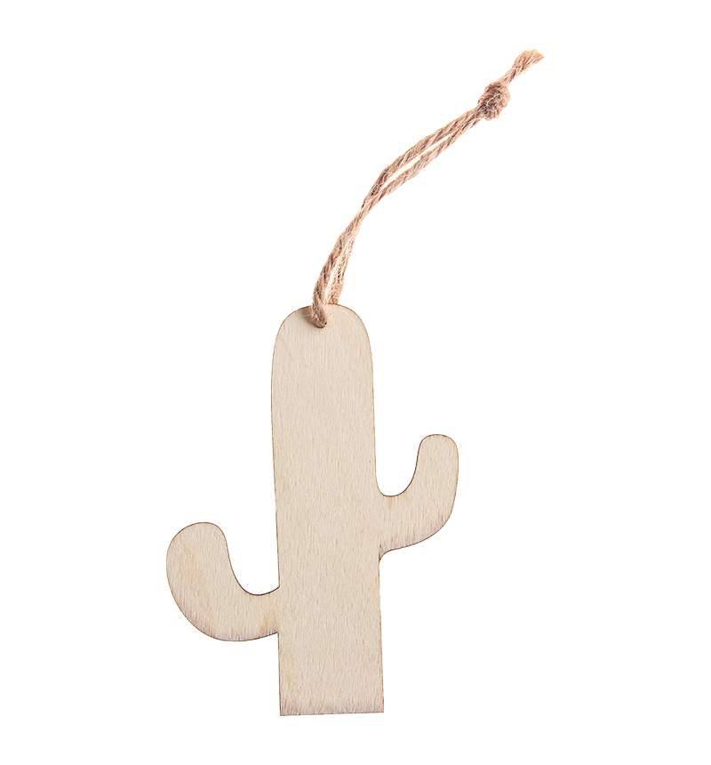 HY-E68588 Cactus small pieces2