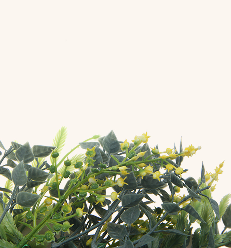 HY-E602868-1 Spring