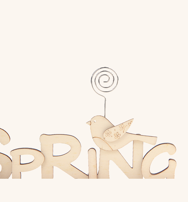 HY-E601775 Spring
